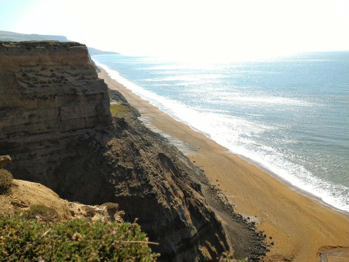 The Vitamin Sea 文特诺 外观 照片